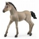 SCHLEICH 13949 ŹREBIĘ CRIOLLO DEFINITIVO