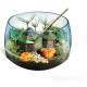 CLEMENTONI 19248 HARRY POTTER TERRARIUM