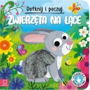 DOTKNIJ I POCZUJ ZWIERZĘTA NA ŁĄCE KSIĄŻECZKA SENSORYCZNA AKSJOMAT