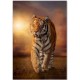 CLEMENTONI 39773 PUZZLE 1000 EL. TYGRYS TIGER