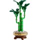 LEGO BOTANICALS 10344 DRACENA SANDERA