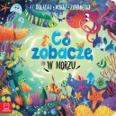CO ZOBACZĘ W MORZU KSIĄŻECZKA AKSJOMAT