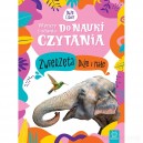 WYRAZY I ZDANIA DO NAUKI CZYTANIA DUŻE LITERY ZWIERZĘTA DUŻE MAŁE AKSJOMAT