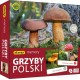 ADAMIGO GRA MEMORY GRZYBY POLSKI
