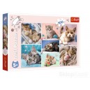 TREFL 16420 PUZZLE 100 W KOCIM ŚWIECIE