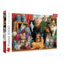TREFL 10555 PUZZLE 1000 EL. KOCIE SPOTKANIE