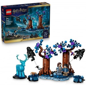 LEGO HARRY POTTER 76475 ZAKAZANY LAS